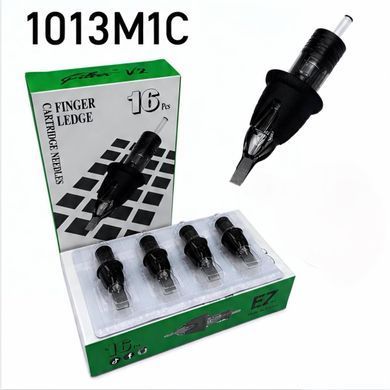EZ Filter V2 1013M1C cartridges
